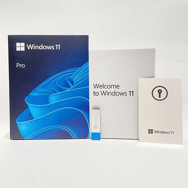 Windows 11 Pro USB Box