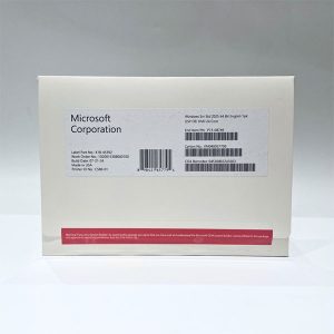 Windows server 2025 std dvd