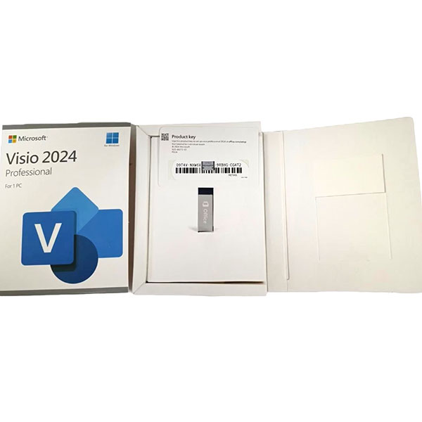 20261013142031 Visio Pro 2024 USB Box