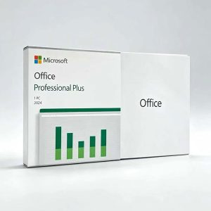 Office 2024 Professional Plus Box