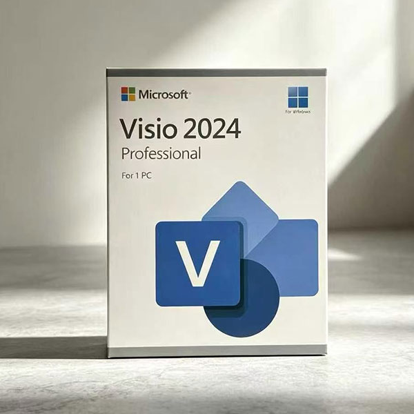 20261013152906 Visio Pro 2024 Card Box
